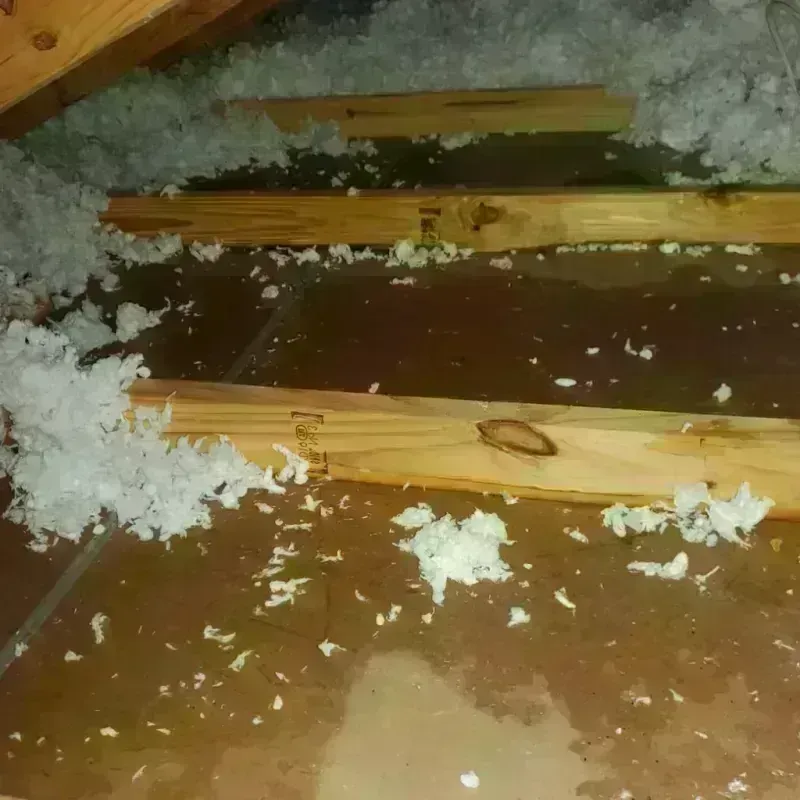 Attic Water Damage in Butte County, CA