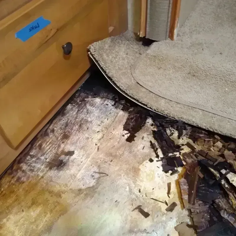 Best Wood Floor Water Damage Service in Butte County, CA